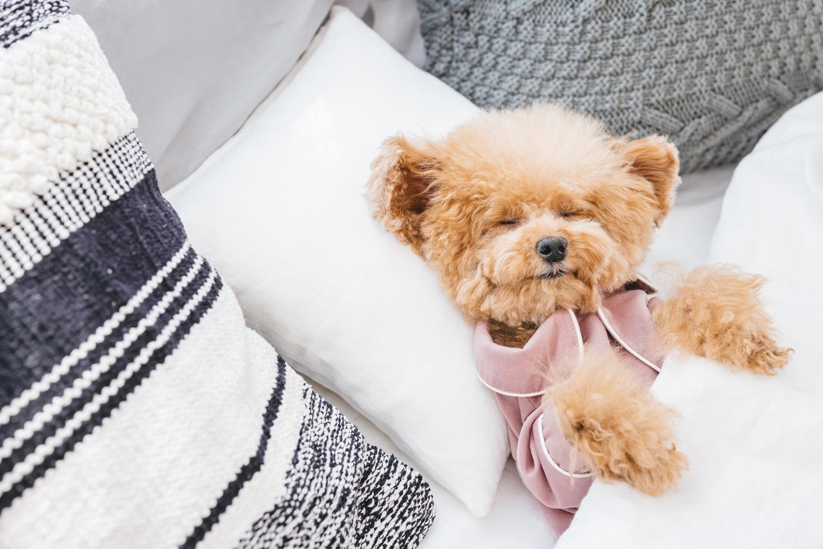 季節の変わり目に胃が重い～自律神経と胃腸の深い関係～