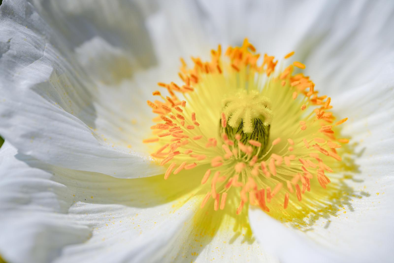 花粉症の薬で胃腸が荒れる？～薬の副作用と上手なつき合い方～