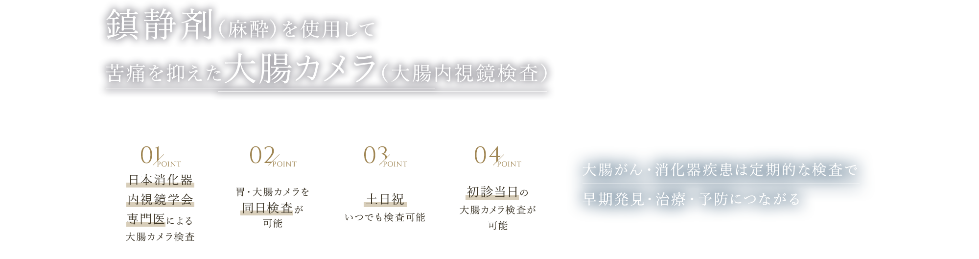 鎮静剤（麻酔）を使用して苦痛を抑えた大腸カメラ（大腸内視鏡検査） 大腸がん・消化器疾患は定期的な検査で早期発見・治療・予防につながる 日本消化器内視鏡学会専門医による大腸カメラ検査/胃・大腸カメラを同日検査が可能/土日祝いつでも検査可能
