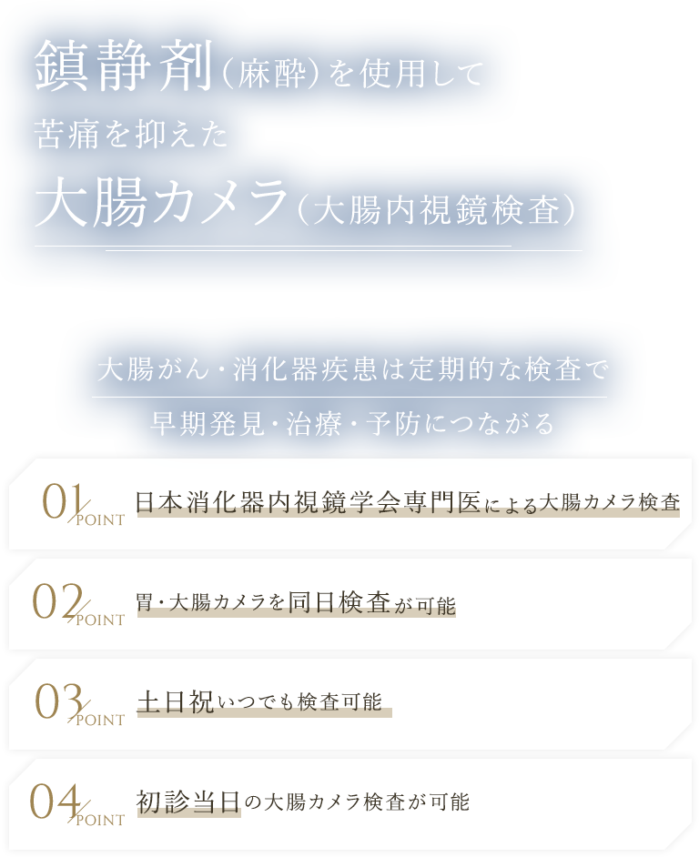 鎮静剤（麻酔）を使用して苦痛を抑えた大腸カメラ（大腸内視鏡検査） 大腸がん・消化器疾患は定期的な検査で早期発見・治療・予防につながる 日本消化器内視鏡学会専門医による大腸カメラ検査/胃・大腸カメラを同日検査が可能/土日祝いつでも検査可能
