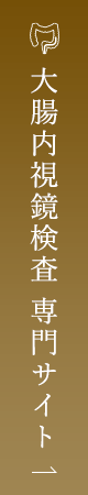 胃内視鏡検査 専門サイト