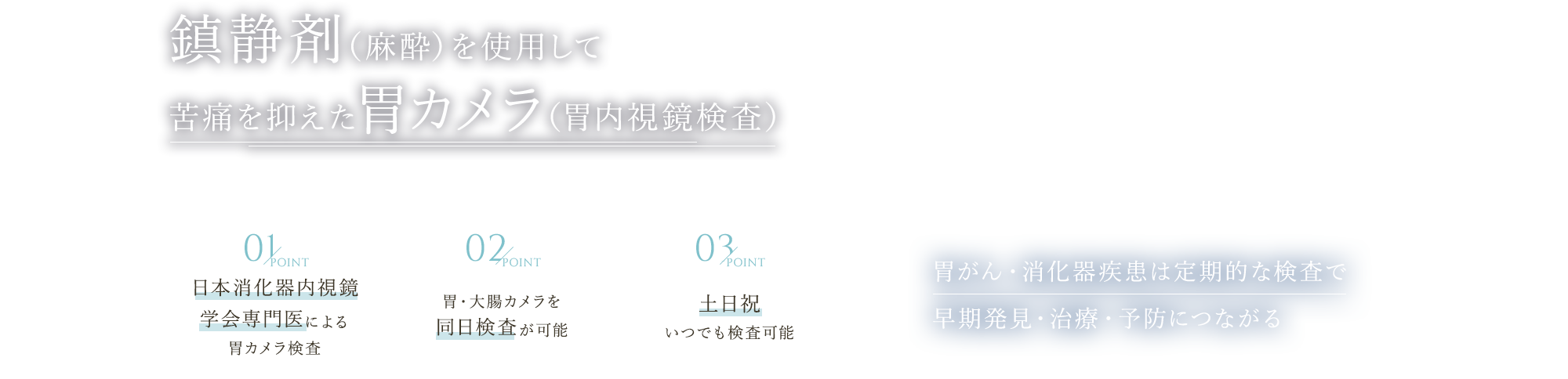 鎮静剤（麻酔）を使用して苦痛を抑えた胃カメラ（胃内視鏡検査） 胃がん・消化器疾患は定期的な検査で早期発見・治療・予防につながる 日本消化器内視鏡学会専門医による胃カメラ検査/胃・大腸カメラを同日検査が可能/土日祝いつでも検査可能