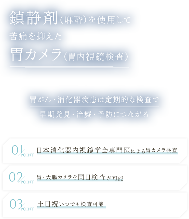 鎮静剤（麻酔）を使用して苦痛を抑えた胃カメラ（胃内視鏡検査） 胃がん・消化器疾患は定期的な検査で早期発見・治療・予防につながる 日本消化器内視鏡学会専門医による胃カメラ検査/胃・大腸カメラを同日検査が可能/土日祝いつでも検査可能