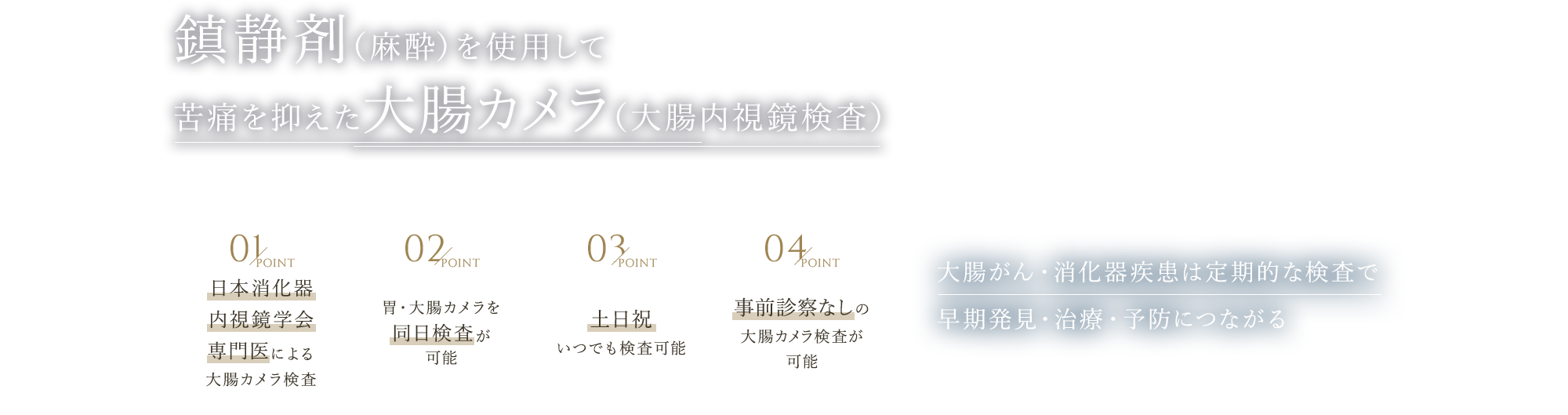 鎮静剤（麻酔）を使用して苦痛を抑えた大腸カメラ（大腸内視鏡検査） 大腸がん・消化器疾患は定期的な検査で早期発見・治療・予防につながる 日本消化器内視鏡学会専門医による大腸カメラ検査/胃・大腸カメラを同日検査が可能/土日祝いつでも検査可能